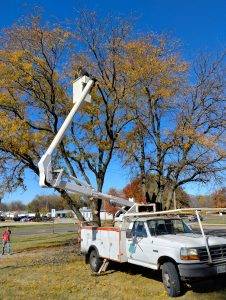 A1 Custom Concrete (4)